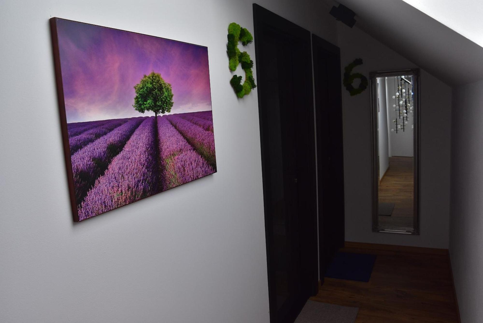 Apartmany Zakovce & Spa Велька-Ломница Экстерьер фото